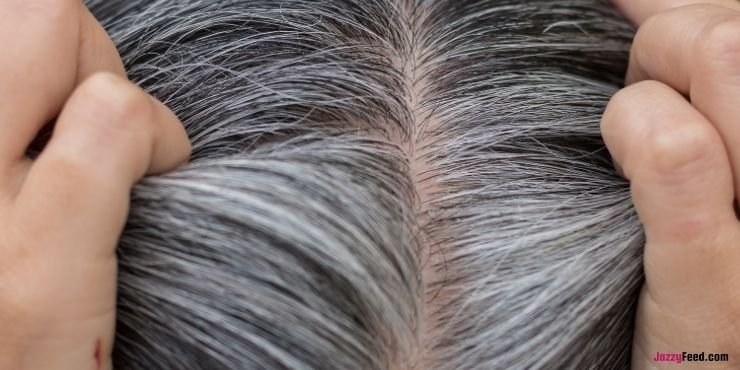 Delays hair from greying